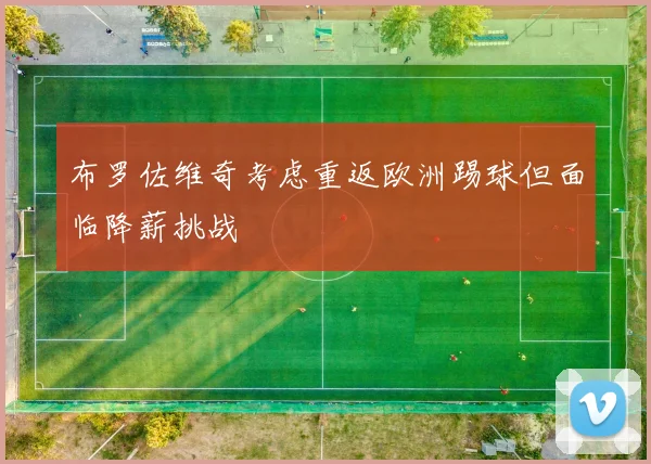 布罗佐维奇考虑重返欧洲踢球但面临降薪挑战