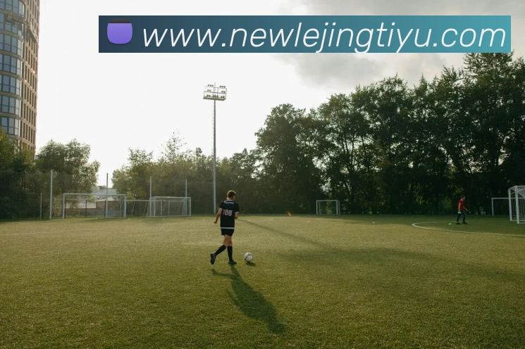 App Interface Preview